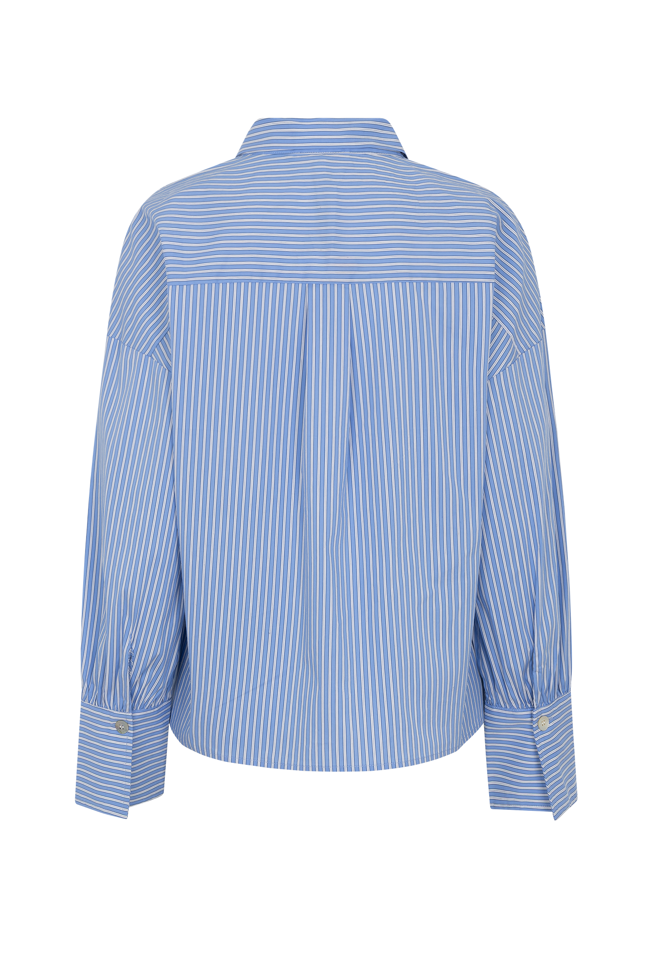Ravy Blouse Blauw Streep